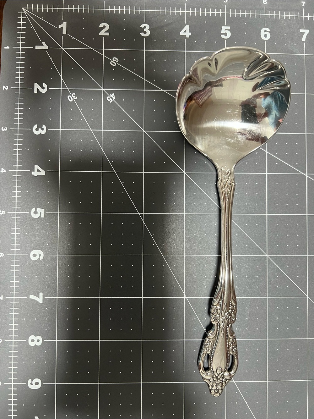 Vintage Oneida Brahms Deluxe Stainless Solid Gravy Ladle